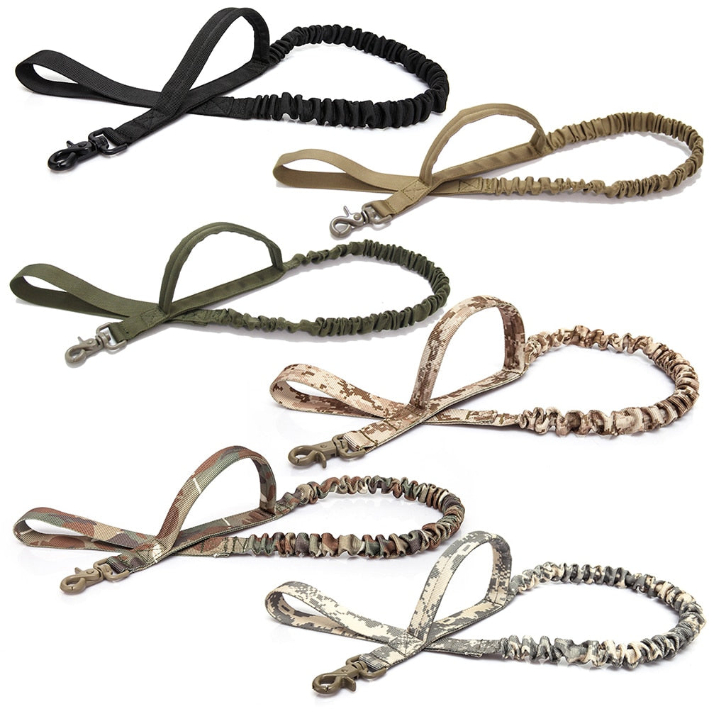Bungee Dog Walking Leash