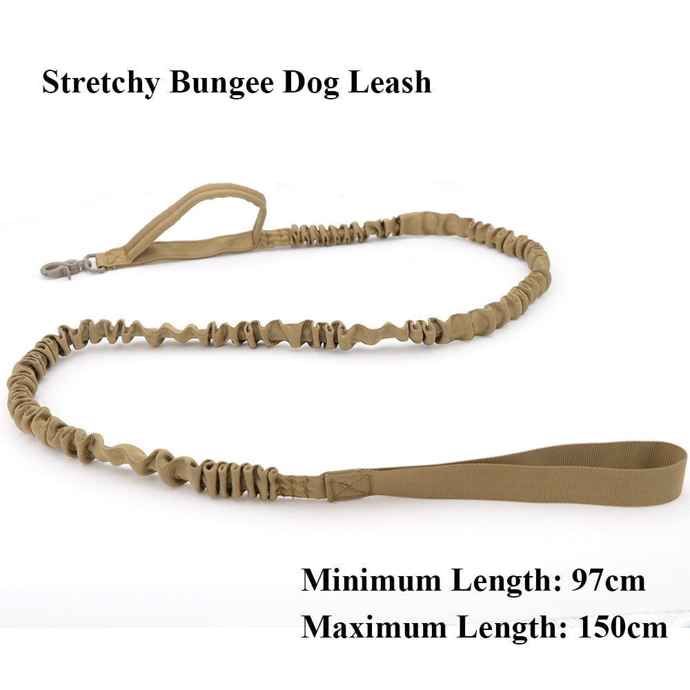 Bungee Dog Walking Leash