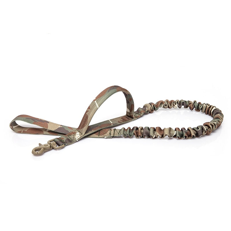 Bungee Dog Walking Leash
