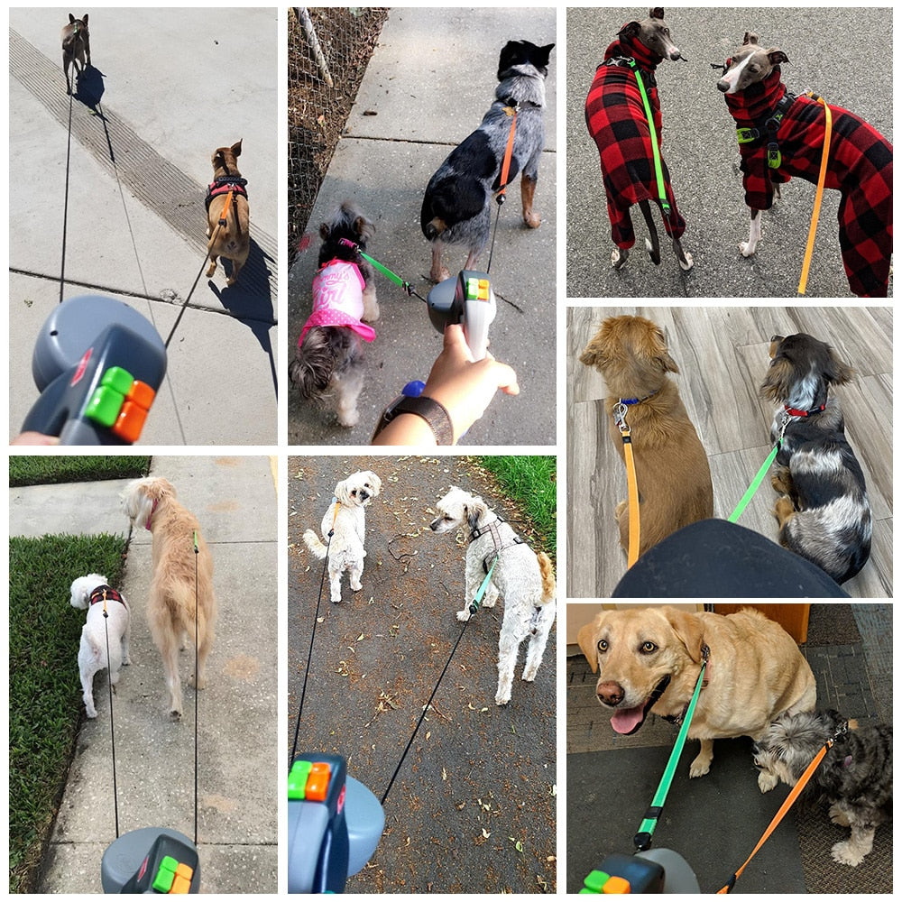 Dual Retractable Dog Leash