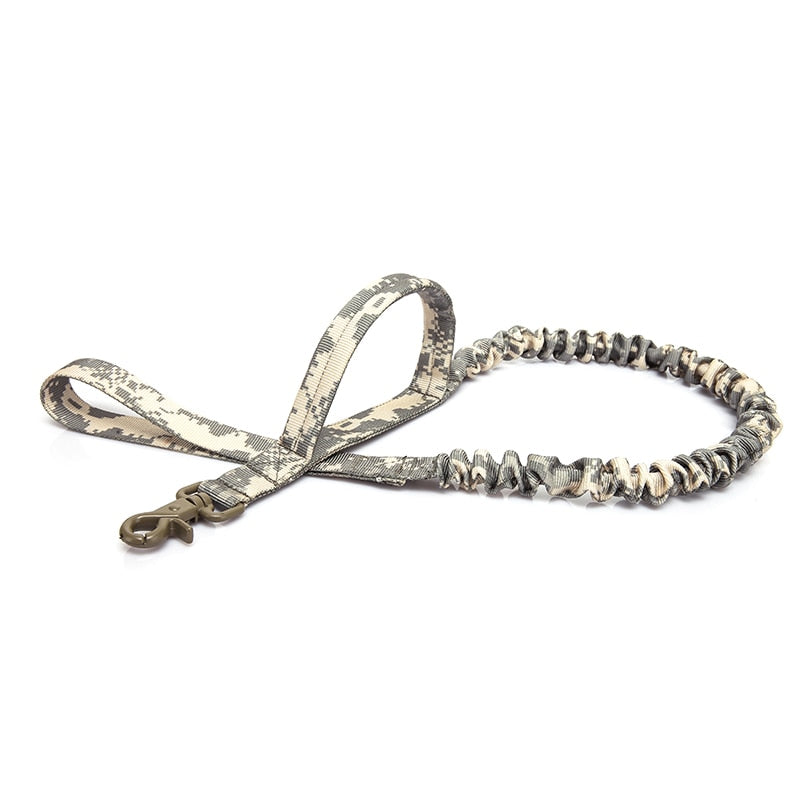 Bungee Dog Walking Leash