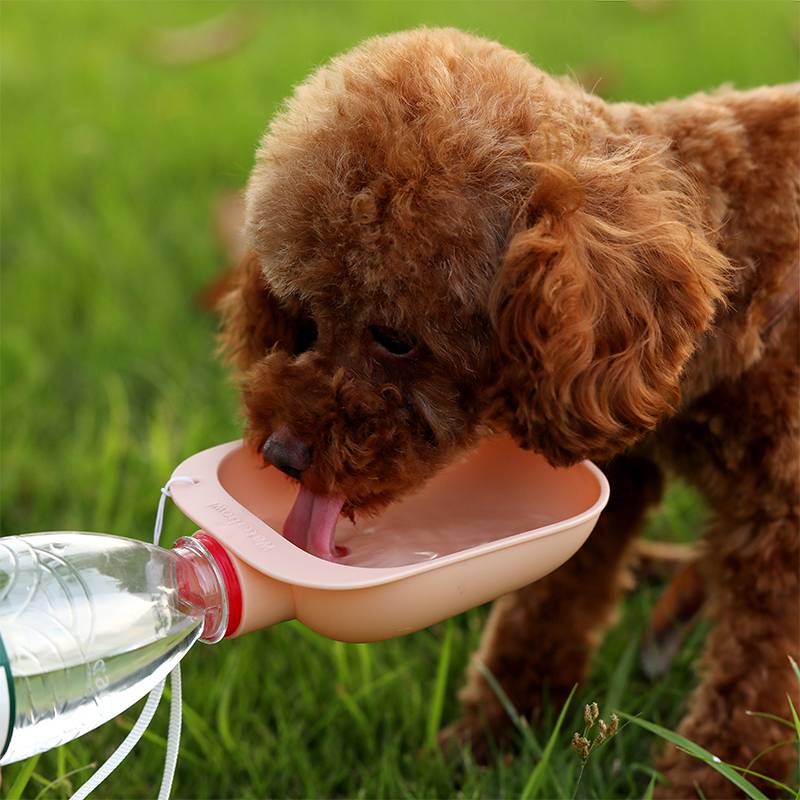 Clip-On Bottle Pet Drinking Bowl