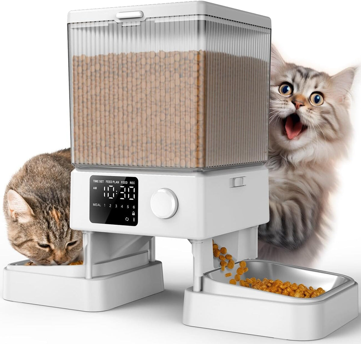 Dual-Bowl Automatic Cat Feeder