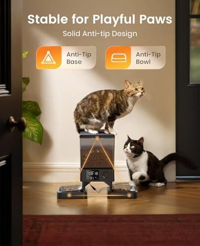 Dual-Bowl Automatic Cat Feeder