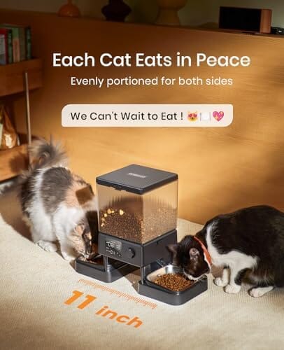 Dual-Bowl Automatic Cat Feeder