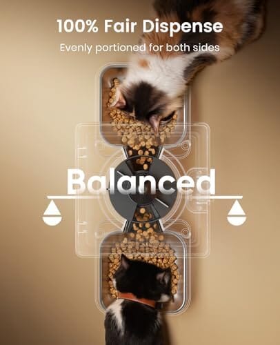 Dual-Bowl Automatic Cat Feeder