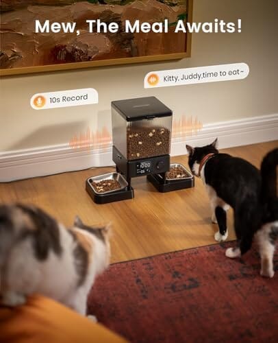 Dual-Bowl Automatic Cat Feeder
