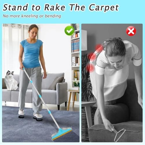Reusable Carpet Pet Hair Rake
