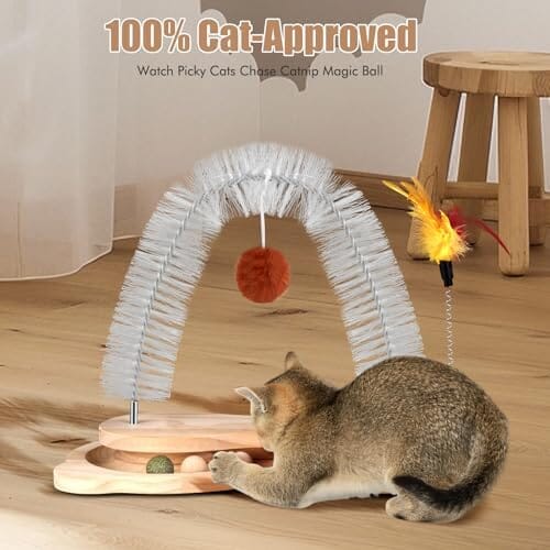 Cat Grooming Arch with Ball Track