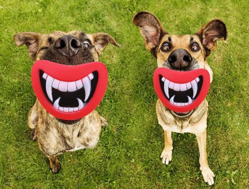 Devil Mouth Squeaky Dog Toy