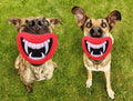 Devil Mouth Squeaky Dog Toy