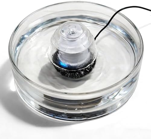 Glass Pet Water Fountain