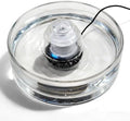 Glass Pet Water Fountain