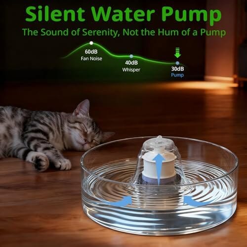 Glass Pet Water Fountain