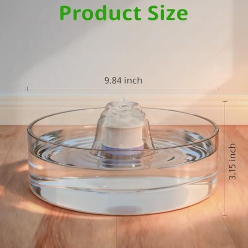 Glass Pet Water Fountain