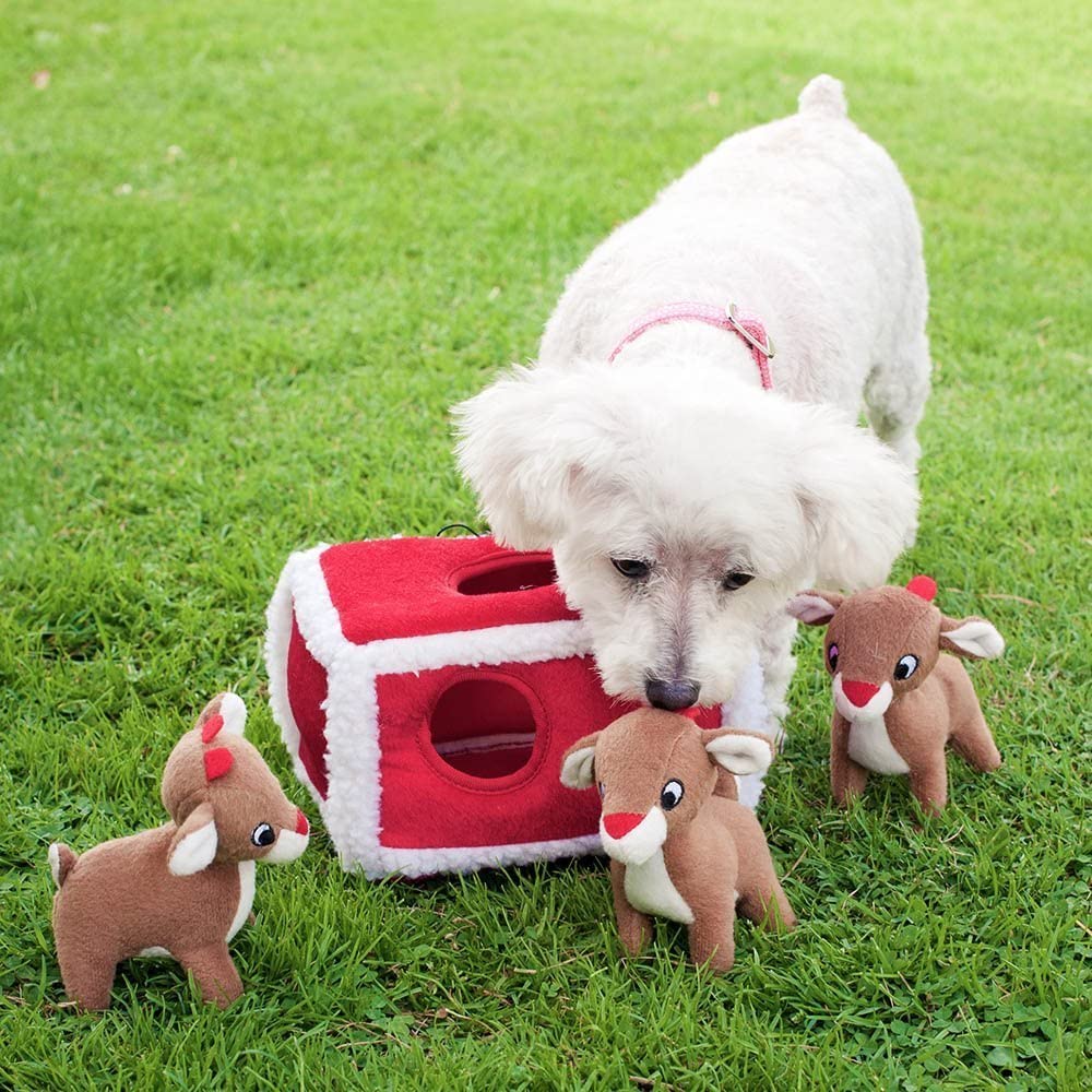 Hide-and-Seek Dog Puzzle Toy